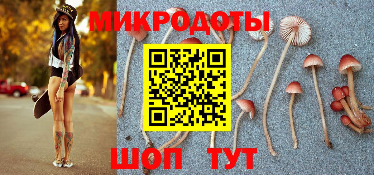 Галлюциногенные грибы ЛСД Белово